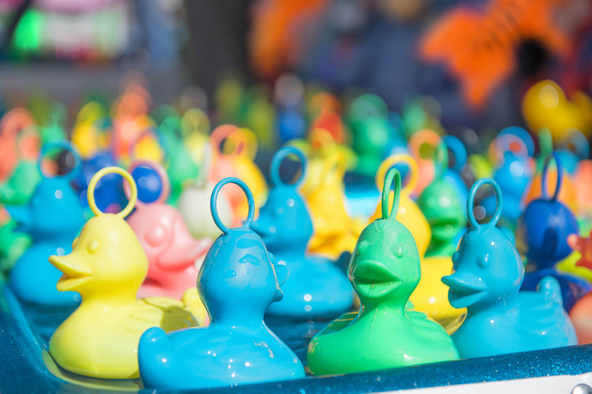 animation-peche-aux-canards